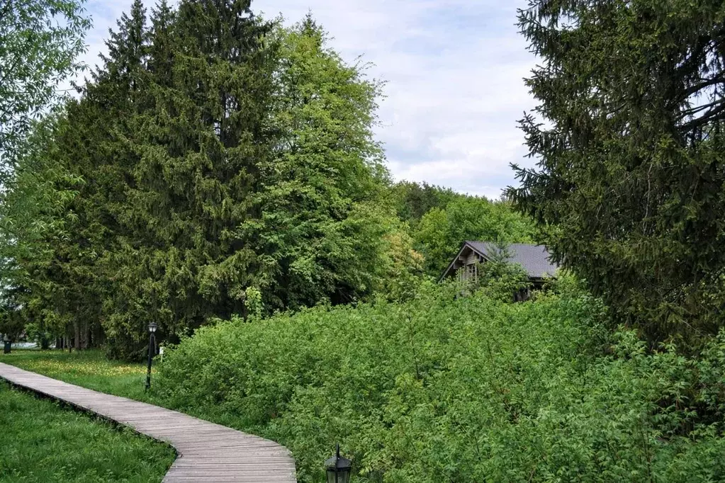 Участок в Московская область, Мытищи городской округ, д. Степаньково ... - Фото 2