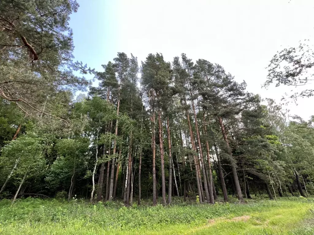 Участок в Московская область, Одинцовский городской округ, д. ... - Фото 1