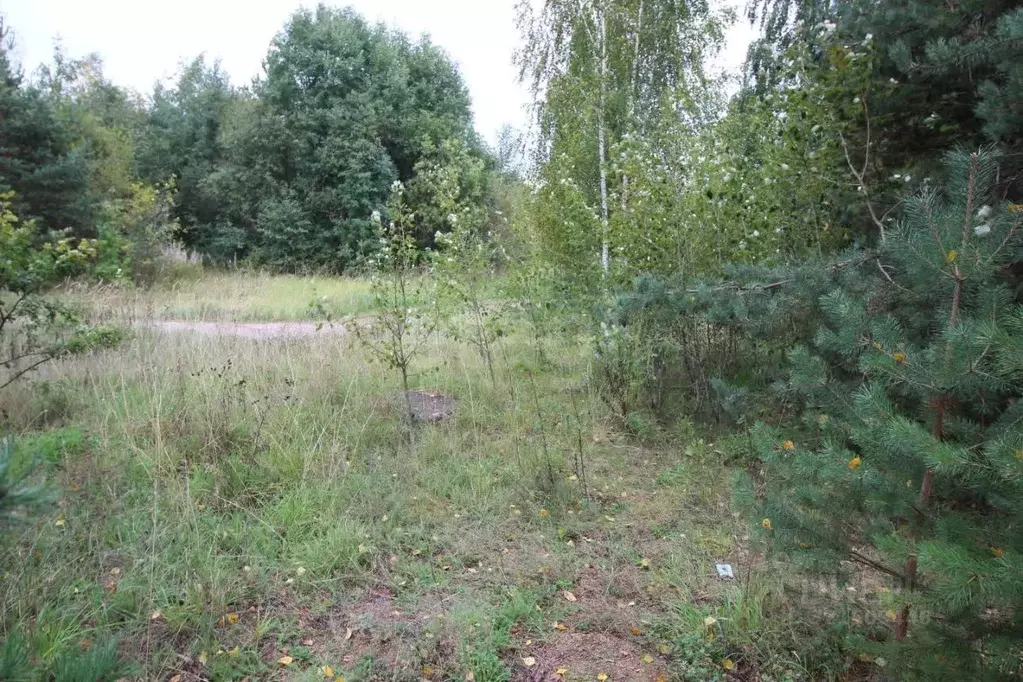 Участок в Вологодская область, Великий Устюг Гледенская ул., 24А (17.8 ... - Фото 1