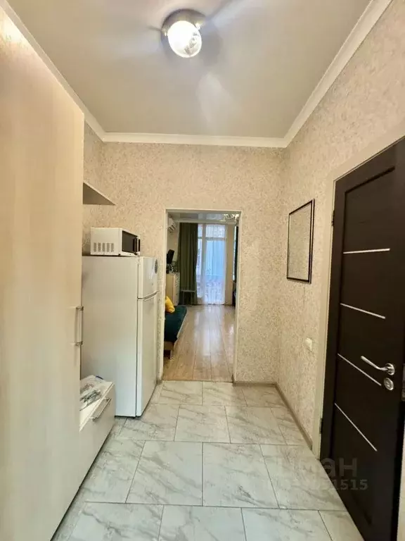 1-к кв. Краснодарский край, Сочи ул. Просвещения, 118/1 (29.0 м) - Фото 1