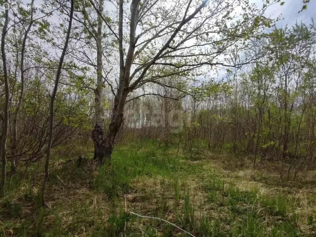 Участок в Светлый, микрорайон Молодёжный, улица Максутова (10 м) - Фото 1