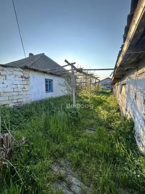 Участок в Крым, Кировский район, с. Владиславовка ул. Гоголя (12.0 ... - Фото 1