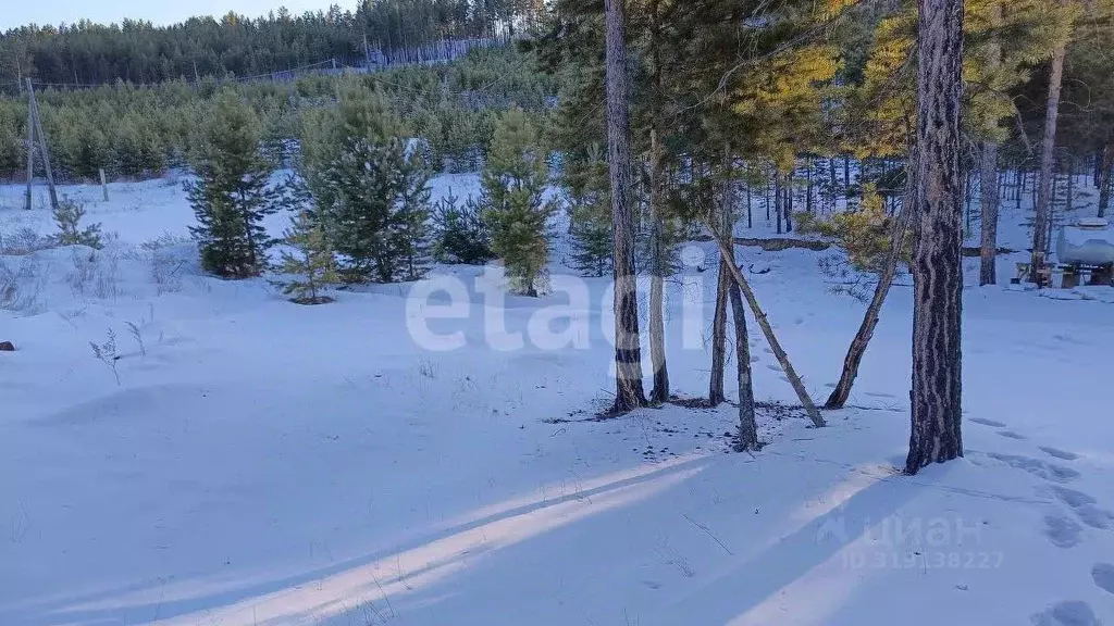 Участок в Бурятия, Улан-Удэ Тепличный мкр, 28-й кв-л,  (6.0 сот.) - Фото 0