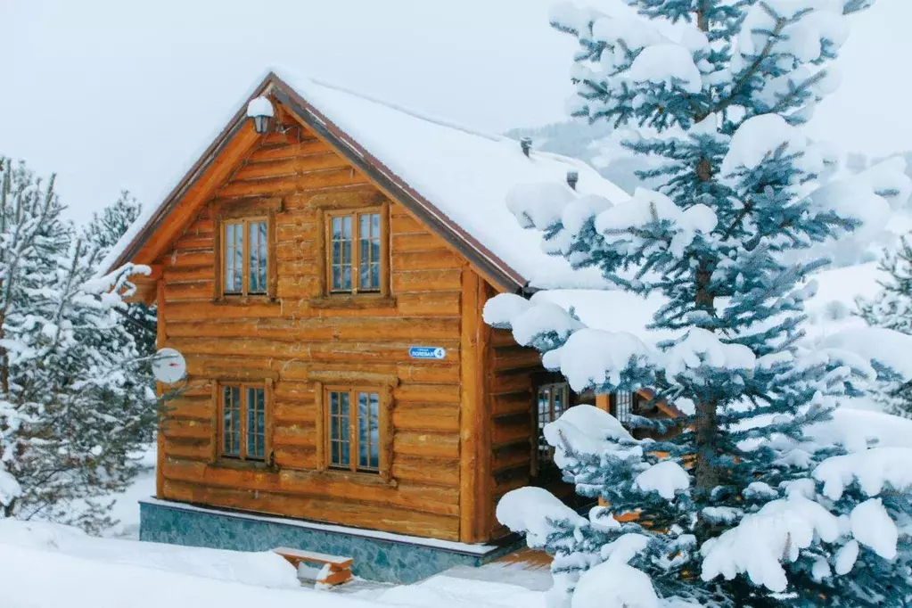 Дом в Алтайский край, Алтайский район, пос. Басаргино ул. Полевая, 8 ... - Фото 1