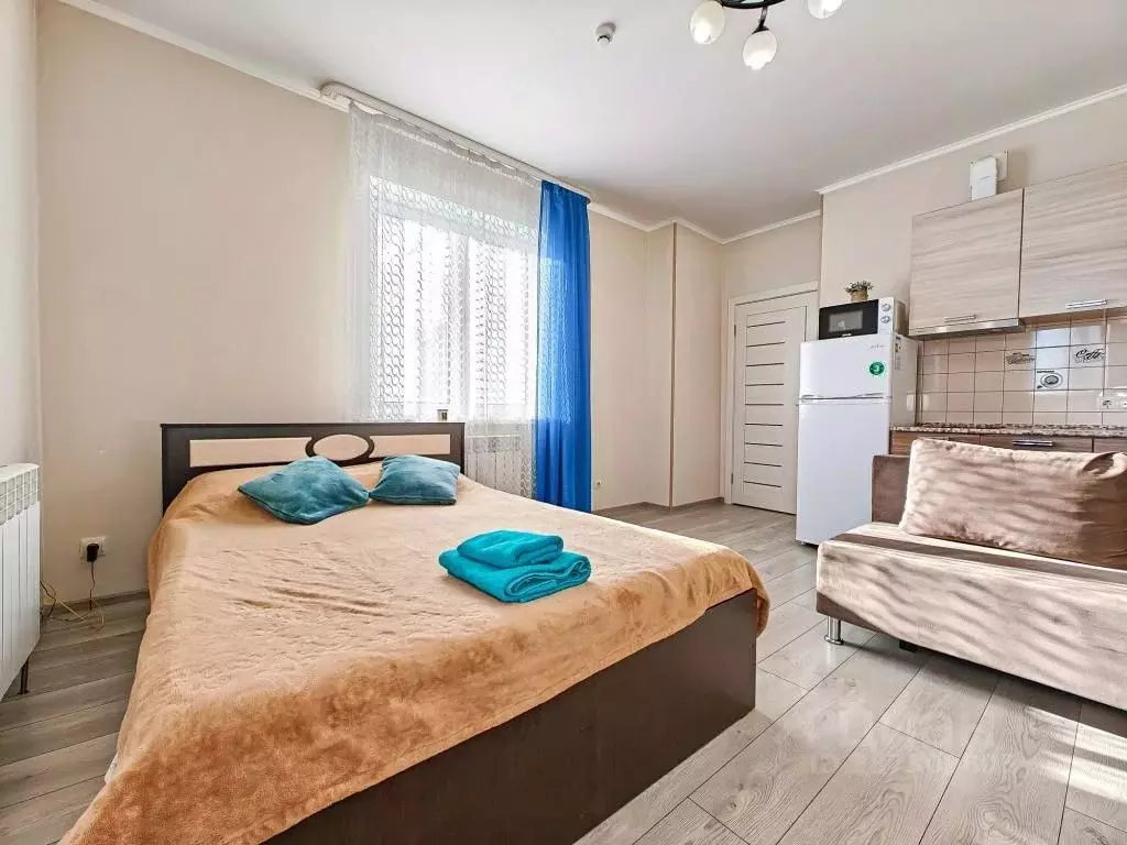 1-к кв. Новосибирская область, Новосибирск ул. Фрунзе, 49/2 (32.0 м) - Фото 0