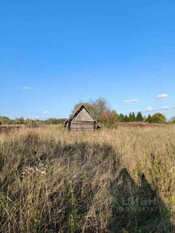 Участок в Вологодская область, д. Озерково (Несвойский сельсовет)  ... - Фото 2