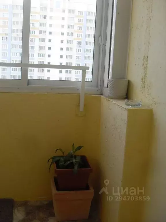 1-к кв. Московская область, Балашиха Железнодорожный мкр, ул. Струве, ... - Фото 2