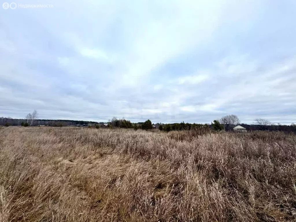 Участок в Свердловская область, Талицкий муниципальный округ, посёлок ... - Фото 1
