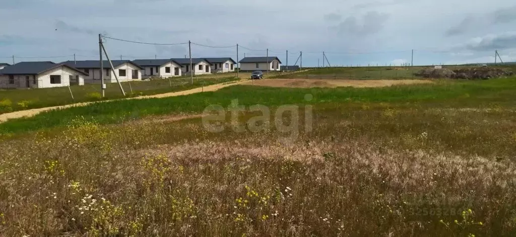 Участок в Крым, Феодосия Колос СПК, ул. Камышовая (6.0 сот.) - Фото 1