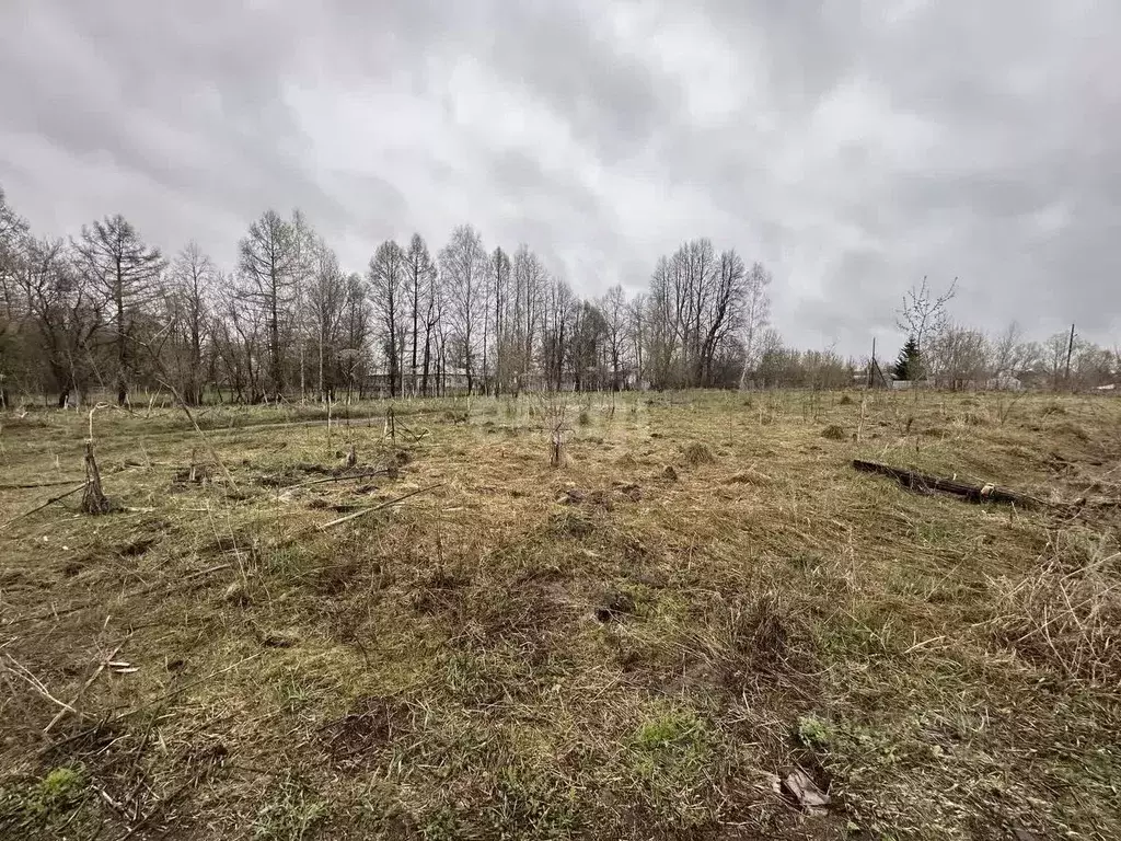 Участок в Владимирская область, Муром с. Борисоглеб, ул. Прудовая ... - Фото 1