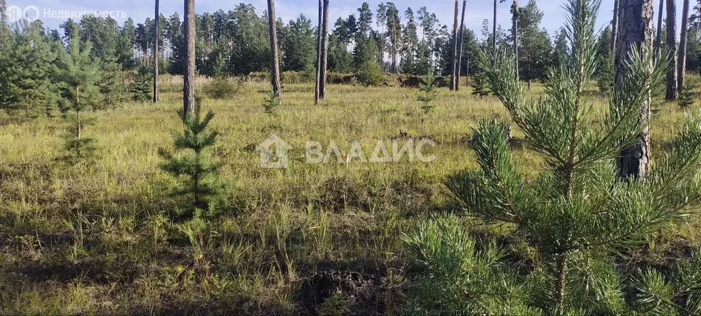 Участок в Улан-Удэ, Энергетическая улица (7.31 м) - Фото 0
