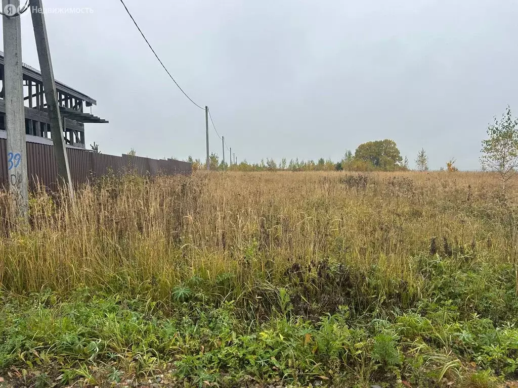 Участок в Владимирская область, Александровский муниципальный округ, ... - Фото 2