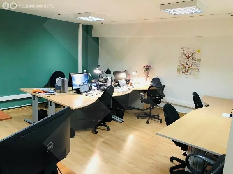 Помещение свободного назначения (213 м) - Фото 2