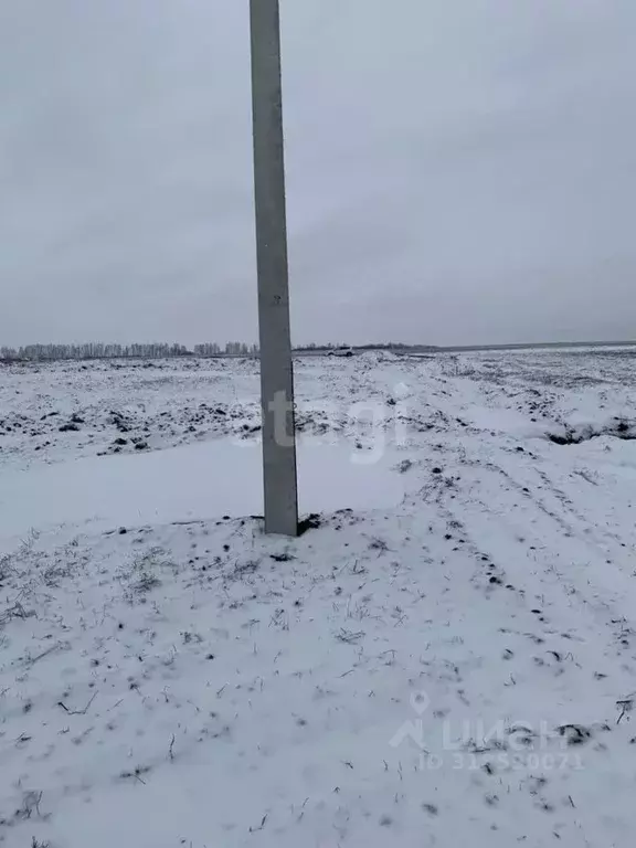 Участок в Белгородская область, Белгородский район, Головинское с/пос, ... - Фото 0