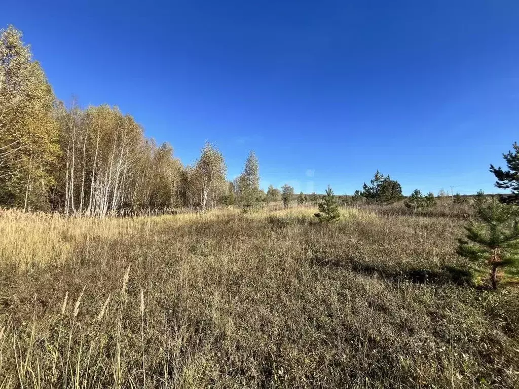 Участок в Мордовия, Кочкуровский район, с. Подлесная Тавла  (9.96 ... - Фото 0