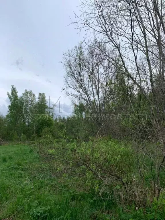 Участок в Ленинградская область, Волховский район, Кисельнинское ... - Фото 2