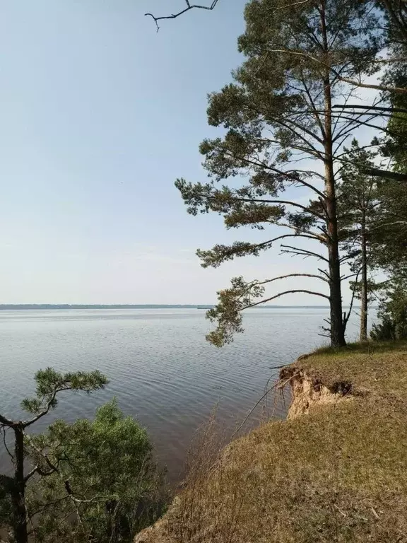 Участок в Нижегородская область, Сокольский городской округ, д. ... - Фото 0