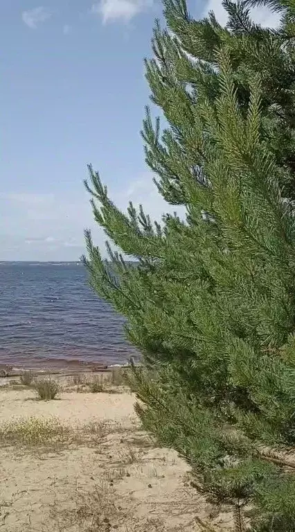 Участок в Нижегородская область, Городецкий муниципальный округ, д. ... - Фото 2