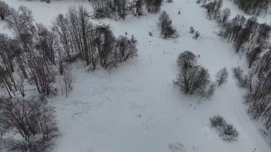 Участок в Московская область, Волоколамский муниципальный округ, д. ... - Фото 2