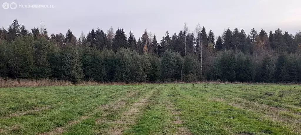 Участок в Московская область, городской округ Клин, рабочий посёлок ... - Фото 0