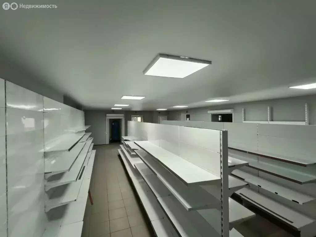 Помещение свободного назначения (265 м) - Фото 1