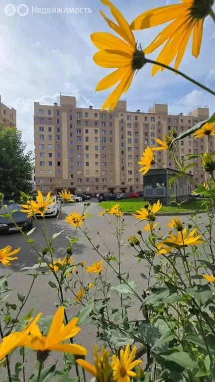 2-комнатная квартира: посёлок Шушары, Московское шоссе, 264 (47 м) - Фото 1