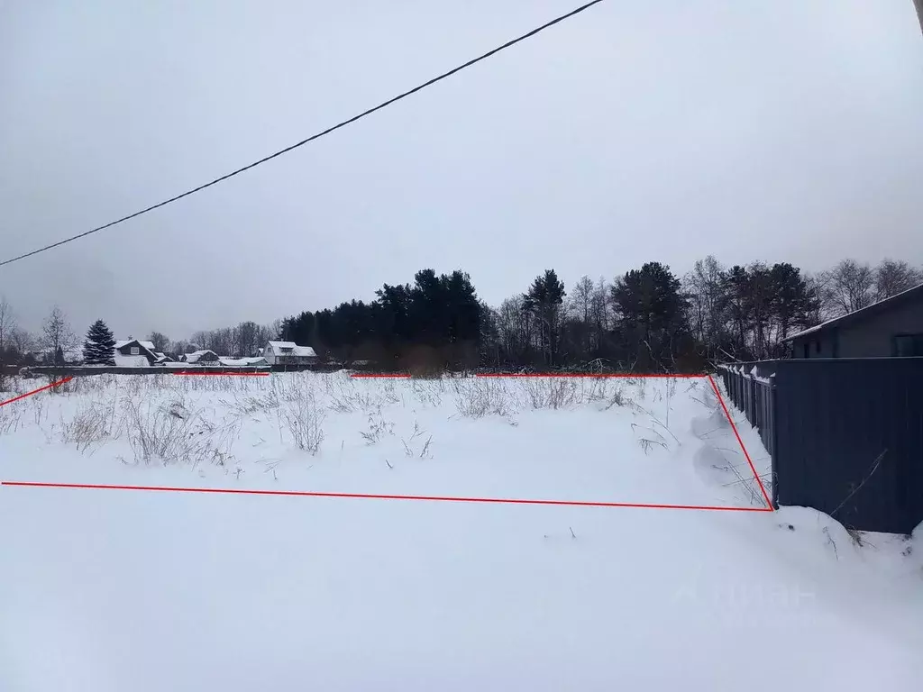 Участок в Ленинградская область, Приозерский район, Ромашкинское ... - Фото 0