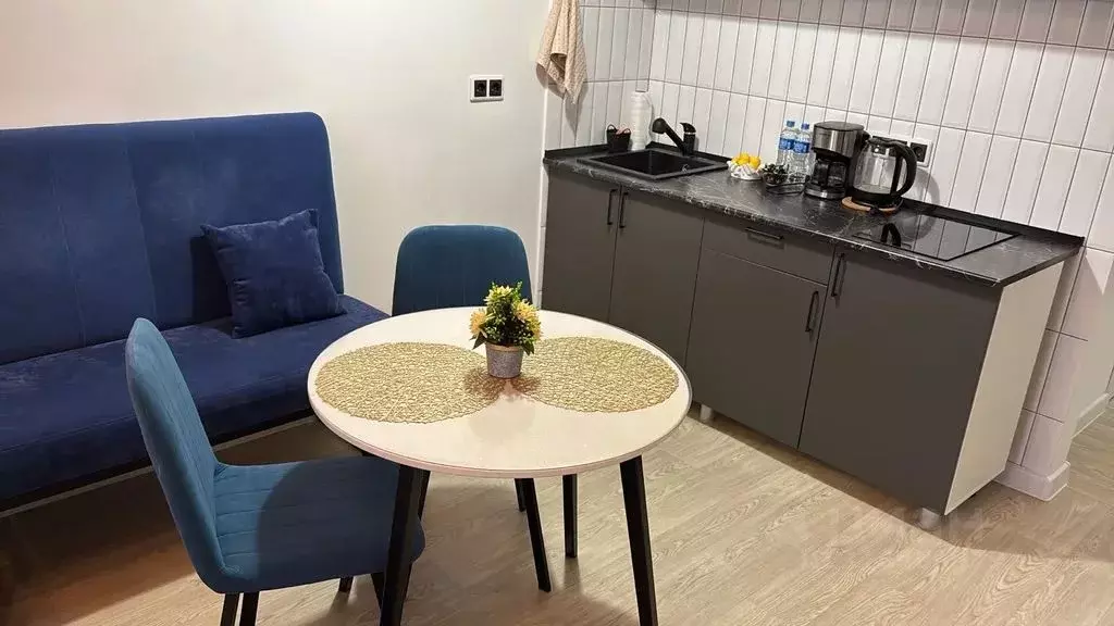 Студия Красноярский край, Красноярск Октябрьская ул., 16 (28.0 м) - Фото 1