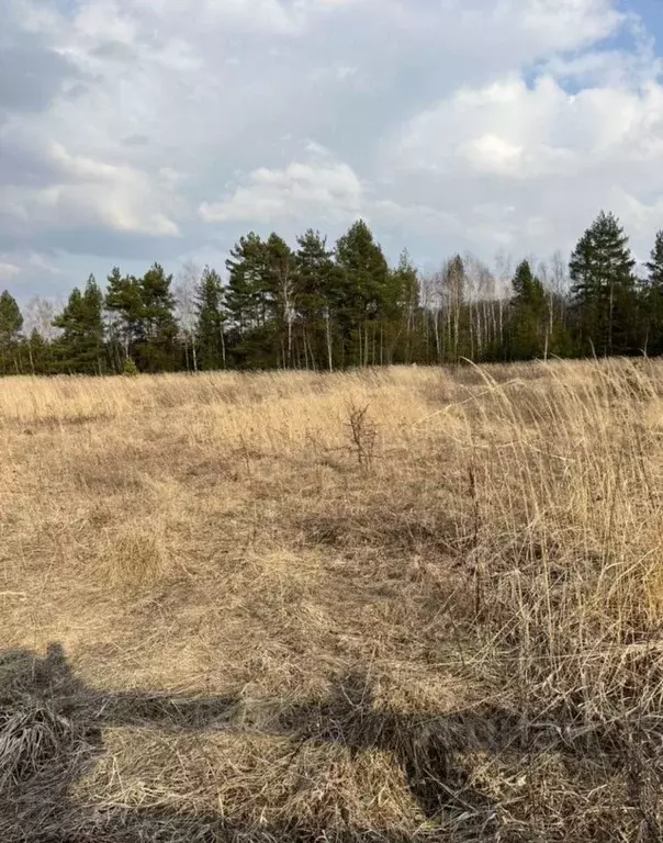 Участок в Тульская область, Алексин городской округ, с. Бунырево  (7.0 ... - Фото 1