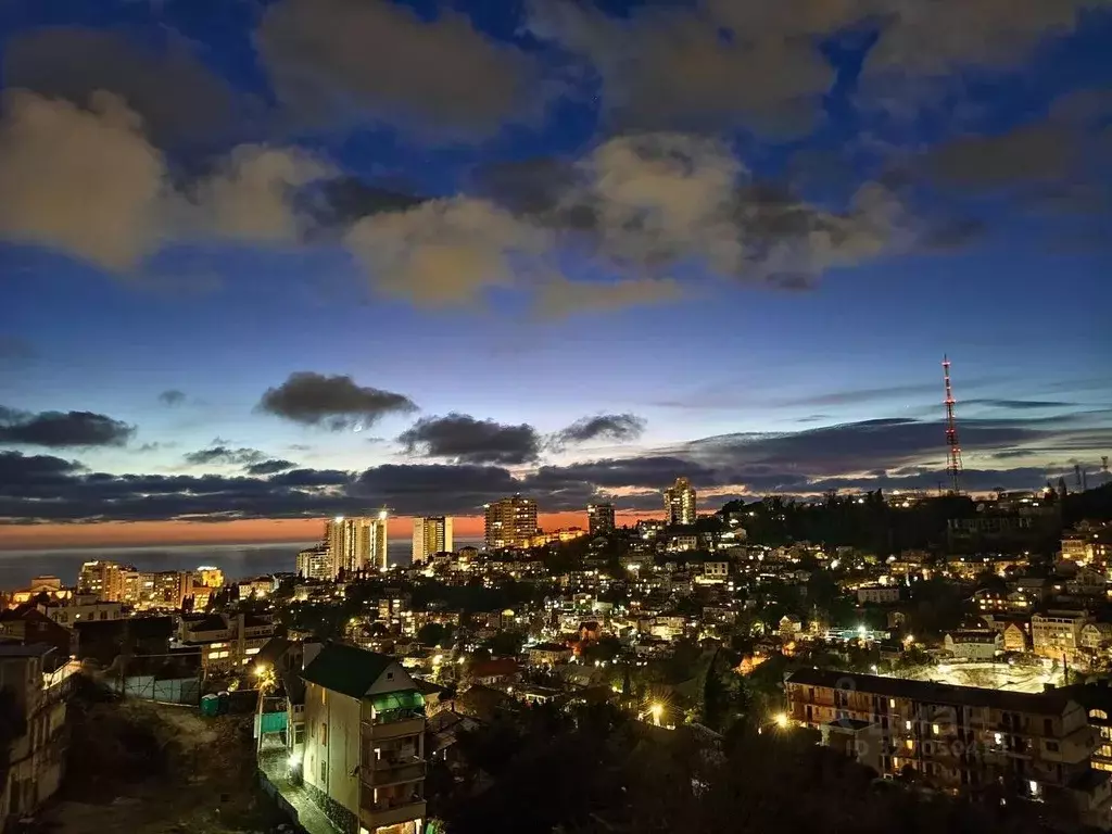 1-к кв. Краснодарский край, Сочи Светлана мкр, ул. Лысая Гора (30.0 м) - Фото 1