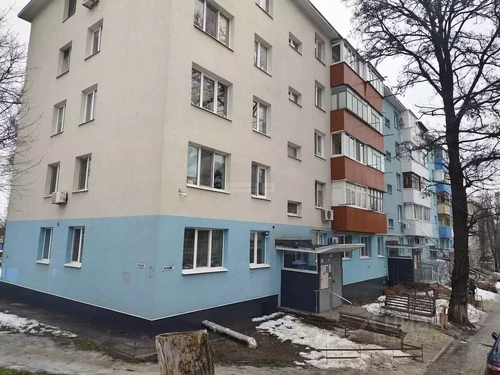 3-к кв. Белгородская область, Белгород ул. Щорса, 3 (61.0 м) - Фото 2