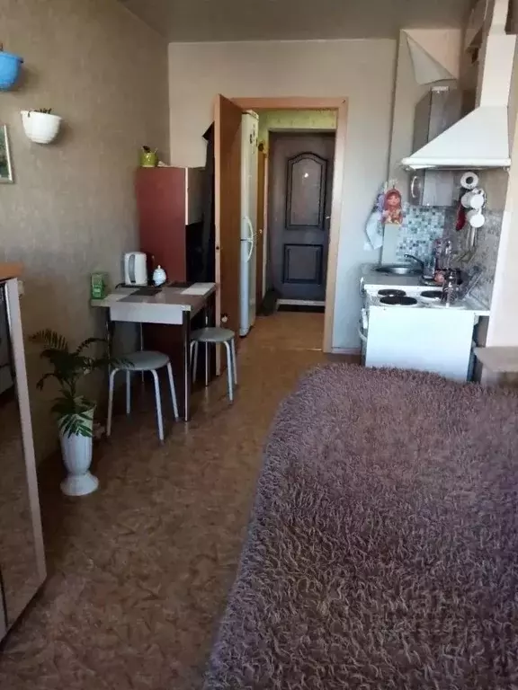 Студия Иркутская область, Иркутск ул. Розы Люксембург, 118/1 (25.0 м) - Фото 2