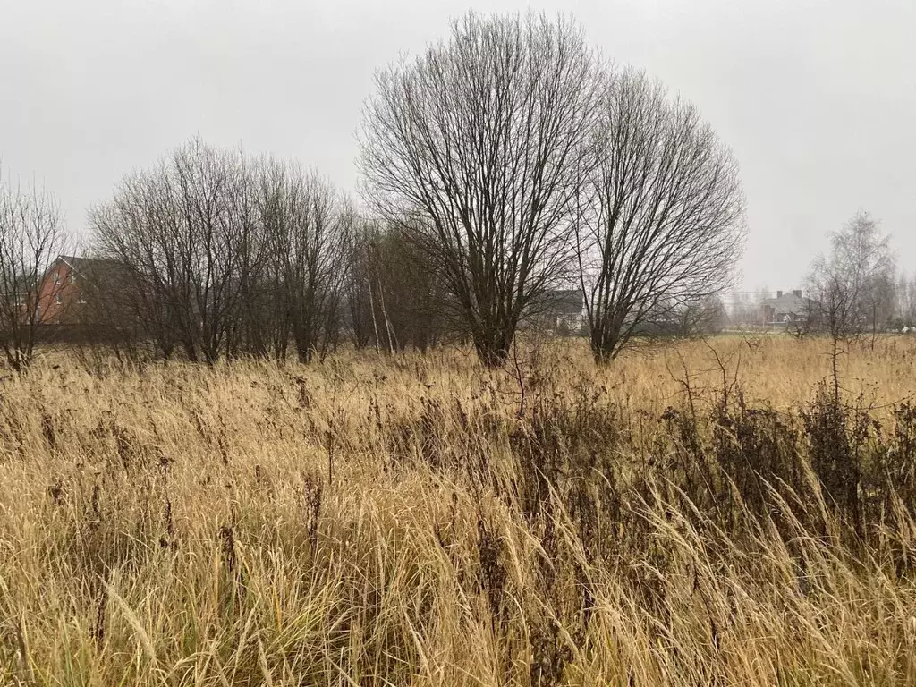 Участок в Московская область, Луховицы пер. 4-й Рябиновый, 3 (25.66 ... - Фото 2