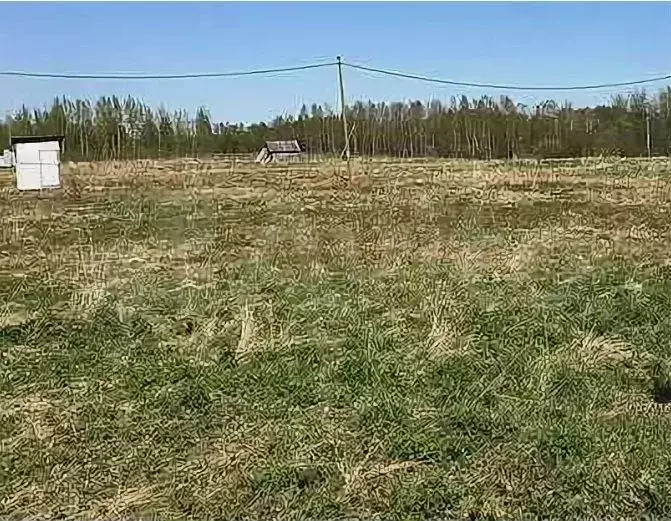 Участок 10 сот. (СНТ, ДНП) - Фото 1