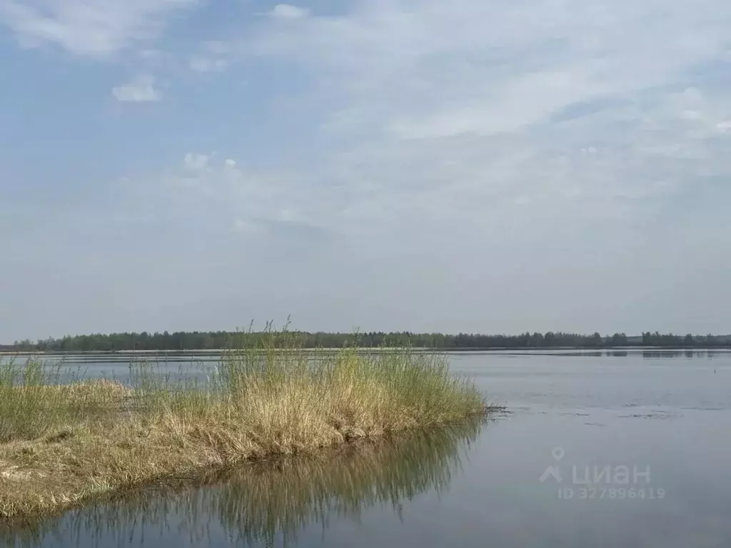 Участок в Московская область, Шатура муниципальный округ, д. Дорофеево ... - Фото 2