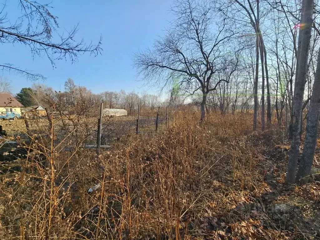 Участок в Приморский край, Артемовский городской округ, с. Кневичи ул. ... - Фото 1