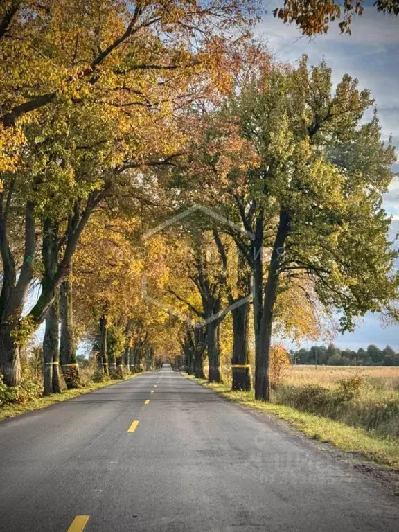 Участок в Калининградская область, Гурьевский муниципальный округ, ... - Фото 1