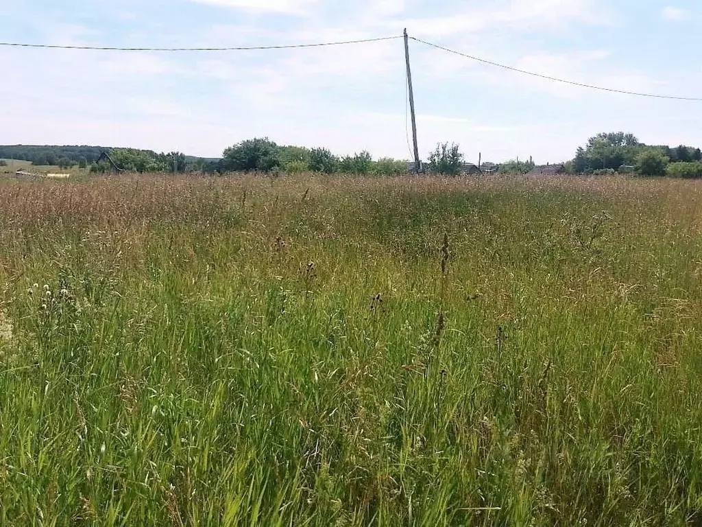 Участок в Адыгея, Тахтамукайский район, Шенджий аул ул. Чапаева (15.0 ... - Фото 2