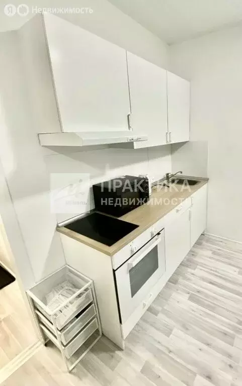 Квартира-студия: деревня Новая Купавна, 3 (25.5 м) - Фото 0