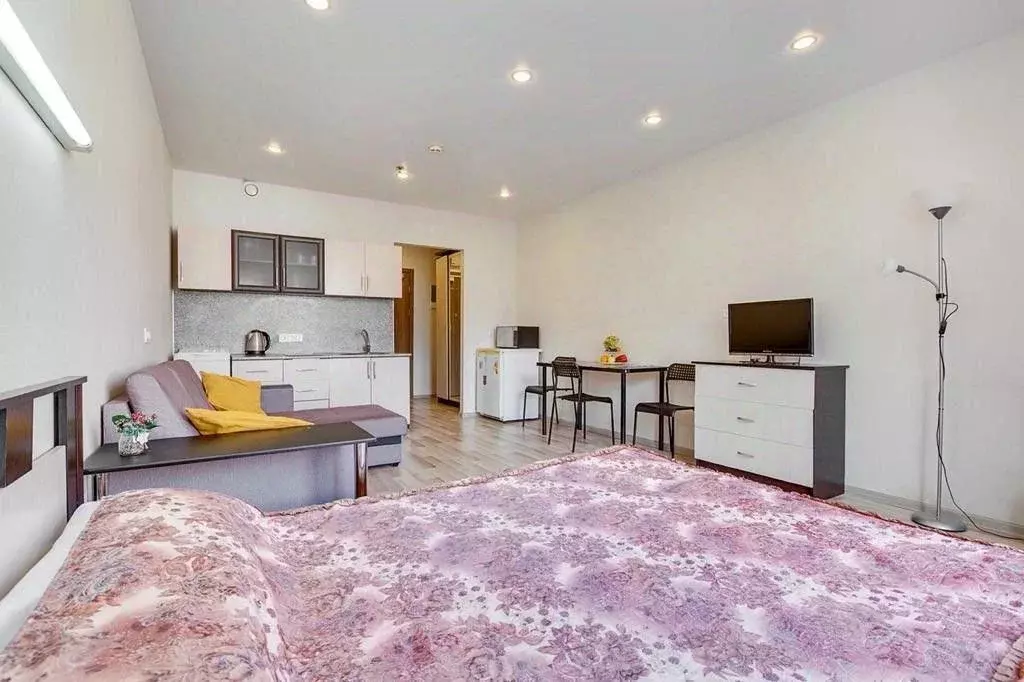 1-к кв. Санкт-Петербург ул. Хошимина, 16А (30.0 м) - Фото 0