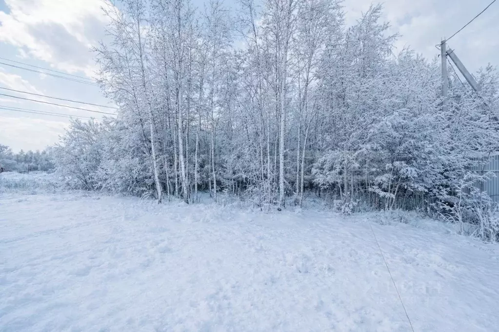 Участок в Московская область, Наро-Фоминск ул. Хвойная (9.5 сот.) - Фото 2