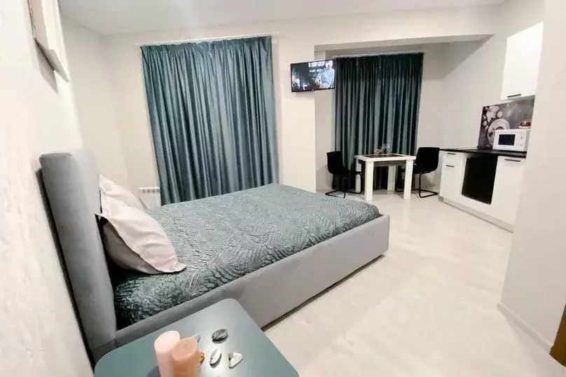 1-к кв. Краснодарский край, Сочи Красная ул., 34Ж (30.0 м) - Фото 1