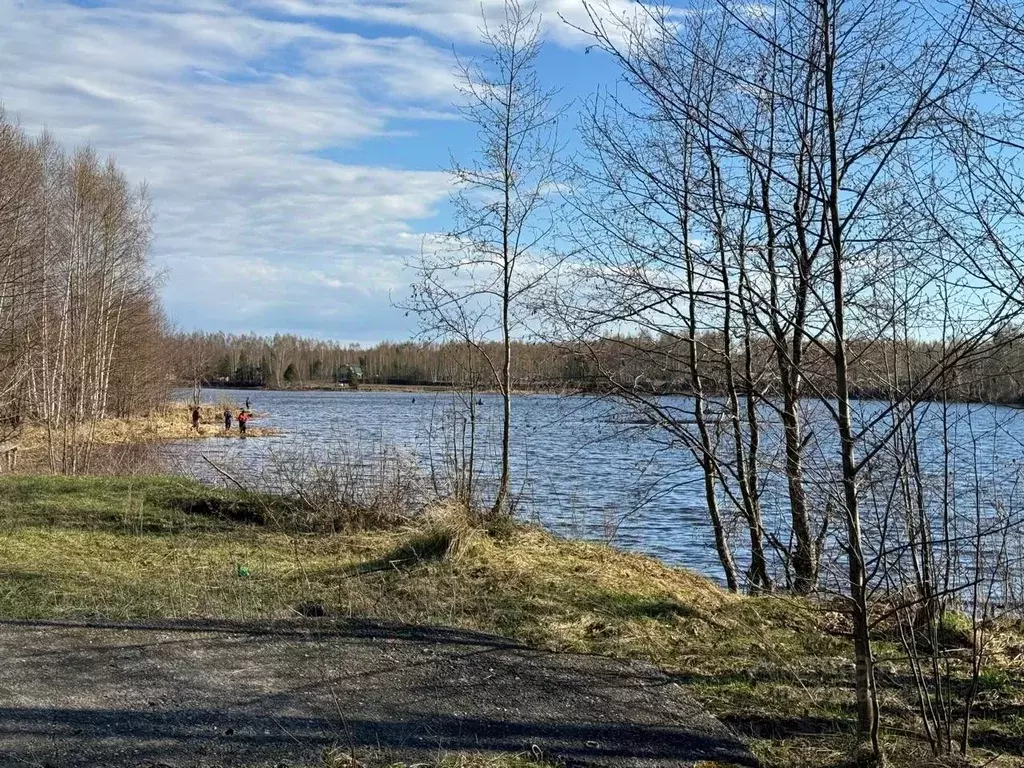 Участок в Нижегородская область, Сокольский городской округ, д. ... - Фото 0