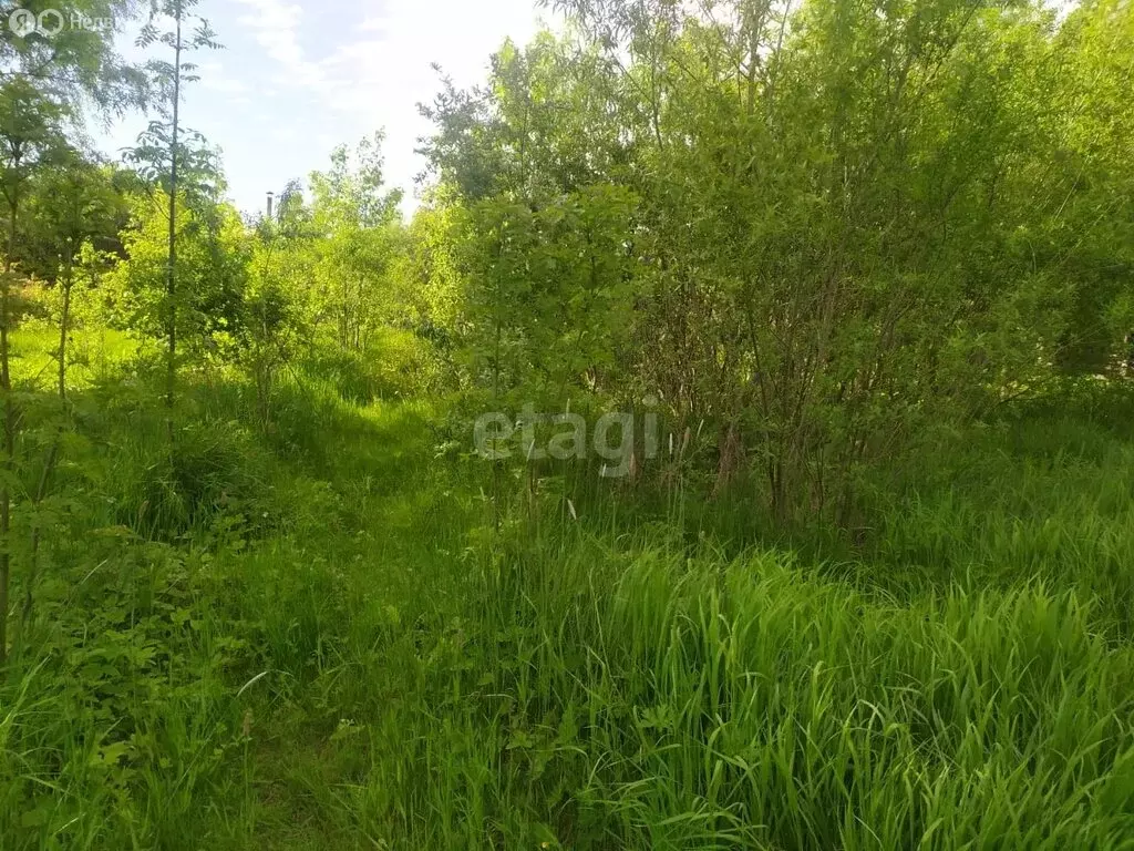 Участок в Великий Новгород, микрорайон Волховский, Лесная улица (7.6 ... - Фото 1