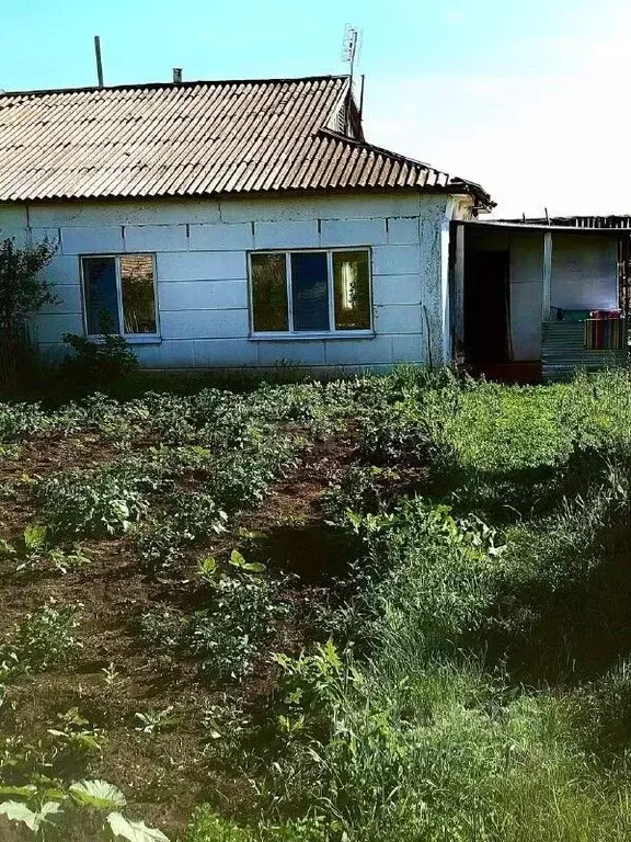 Дом в Оренбургская область, Сакмарский район, Светлый сельсовет, с. ... - Фото 1