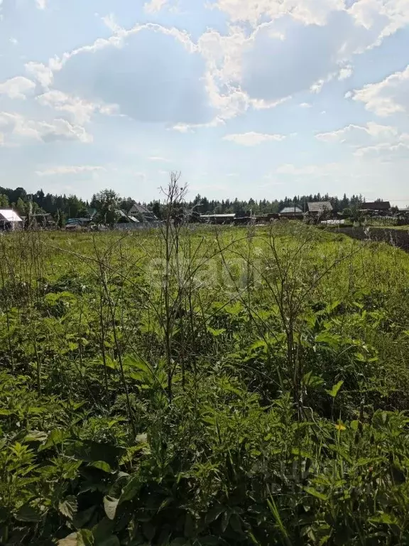 Участок в Томская область, Томский район, д. Быково Кедровая ул. (22.8 ... - Фото 0