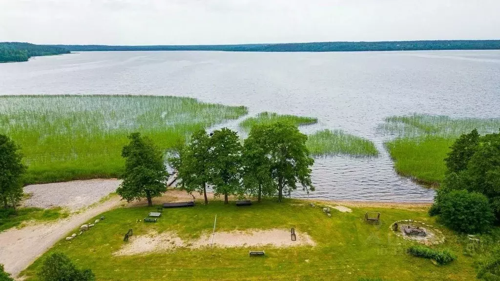 Участок в Ленинградская область, Приозерский район, Плодовское с/пос, ... - Фото 1