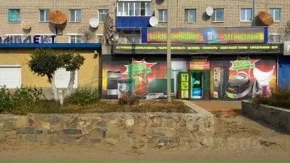 Торговая площадь в Забайкальский край, Борзя ул. Карла Маркса, 87 (195 ... - Фото 1