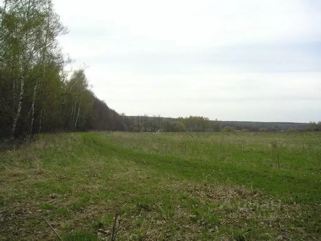 Участок в Калужская область, Жуковский муниципальный округ, Верховье ... - Фото 2