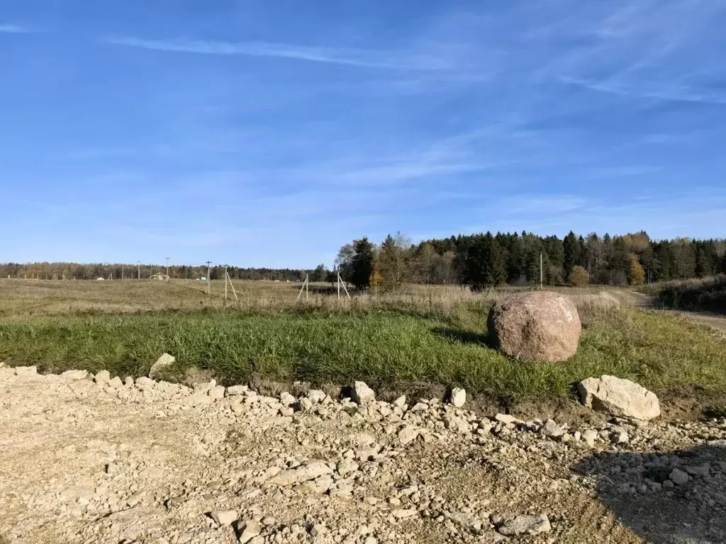 Участок в Ленинградская область, Ломоносовский район, Лопухинское ... - Фото 1